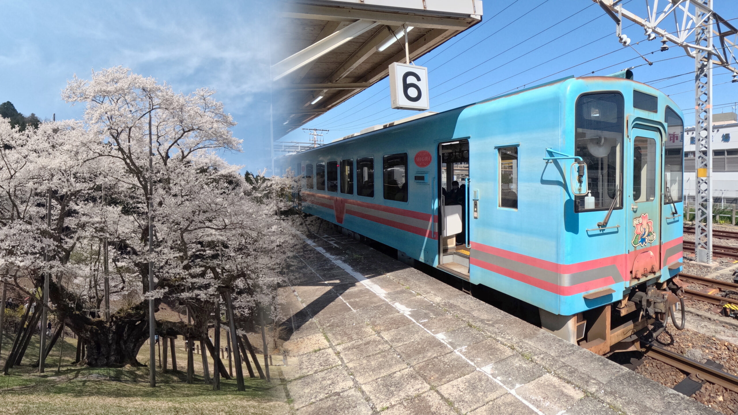 日帰り電車旅】樽見鉄道で淡墨桜を見に行く – 子鉄と電車旅from名古屋